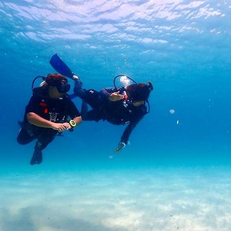 The Dearly Koh Tao Hostel-Padi 5 Star Dive Resort Екстериор снимка