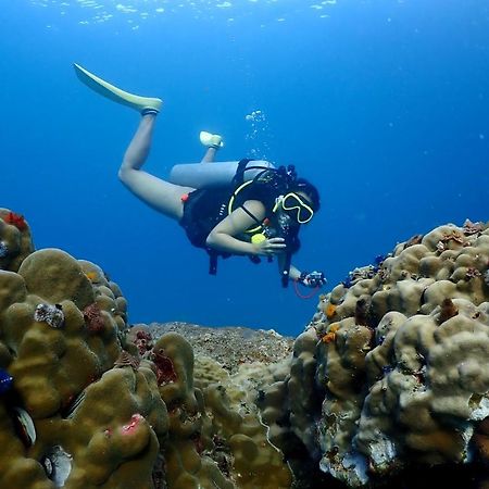 The Dearly Koh Tao Hostel-Padi 5 Star Dive Resort Екстериор снимка