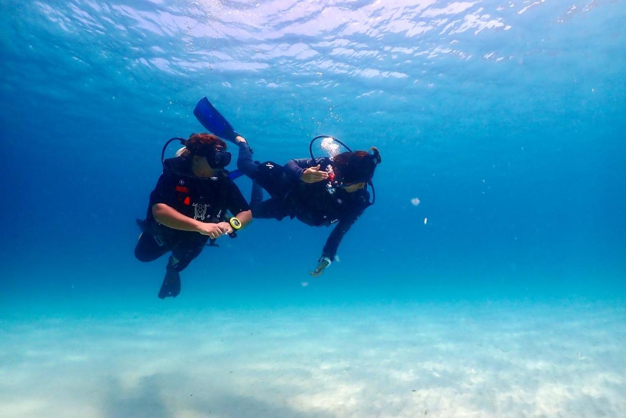 The Dearly Koh Tao Hostel-Padi 5 Star Dive Resort Екстериор снимка