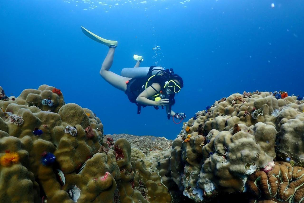 The Dearly Koh Tao Hostel-Padi 5 Star Dive Resort Екстериор снимка