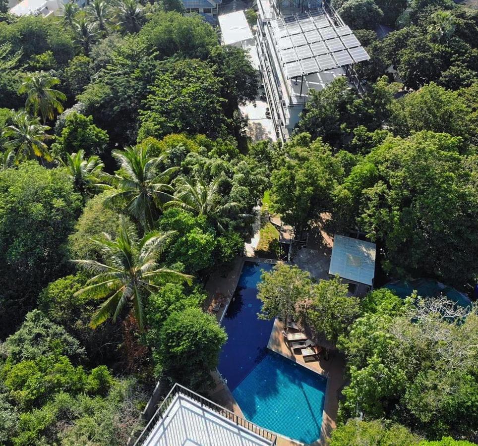 The Dearly Koh Tao Hostel-Padi 5 Star Dive Resort Екстериор снимка